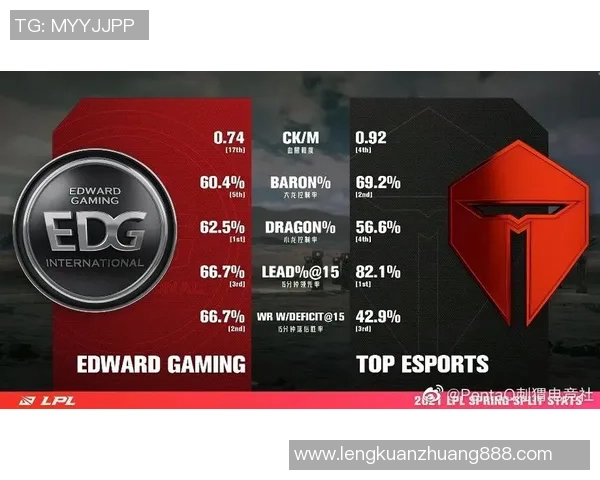 TES在数据分析中的灵活性表现及其对决策的影响探讨