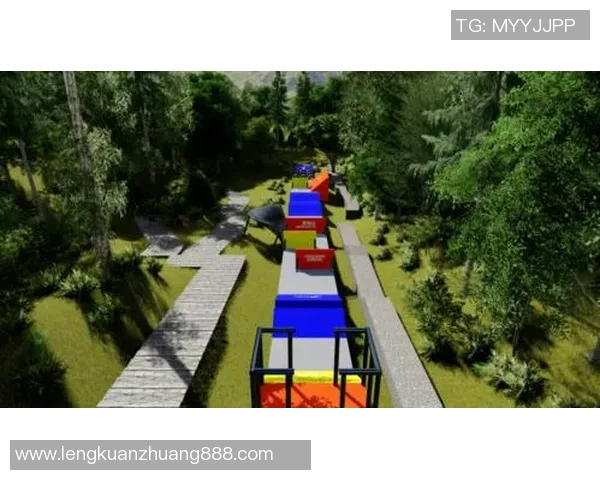 南京极限运动队在极限运动会中的心理素质表现分析与点评